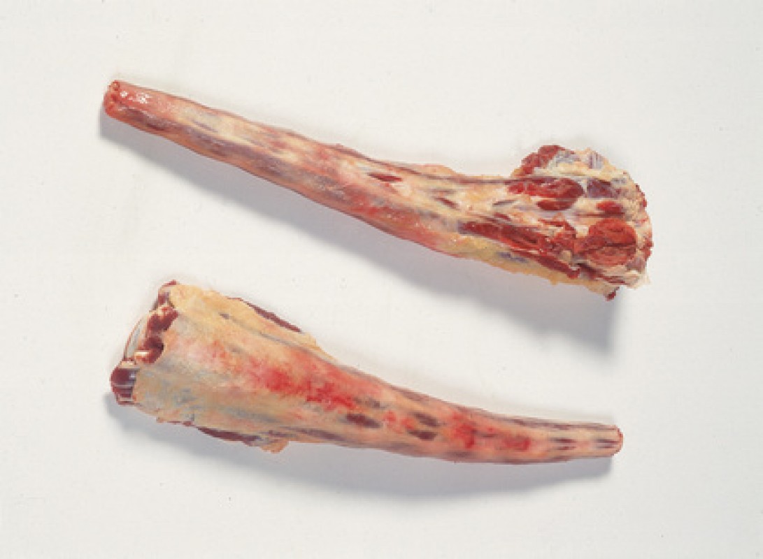 Beef Meat from Norway